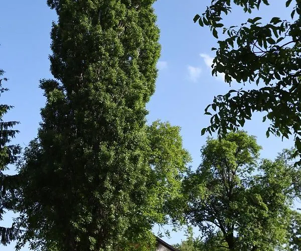 Hiska Pod Klumpo * Ormoz